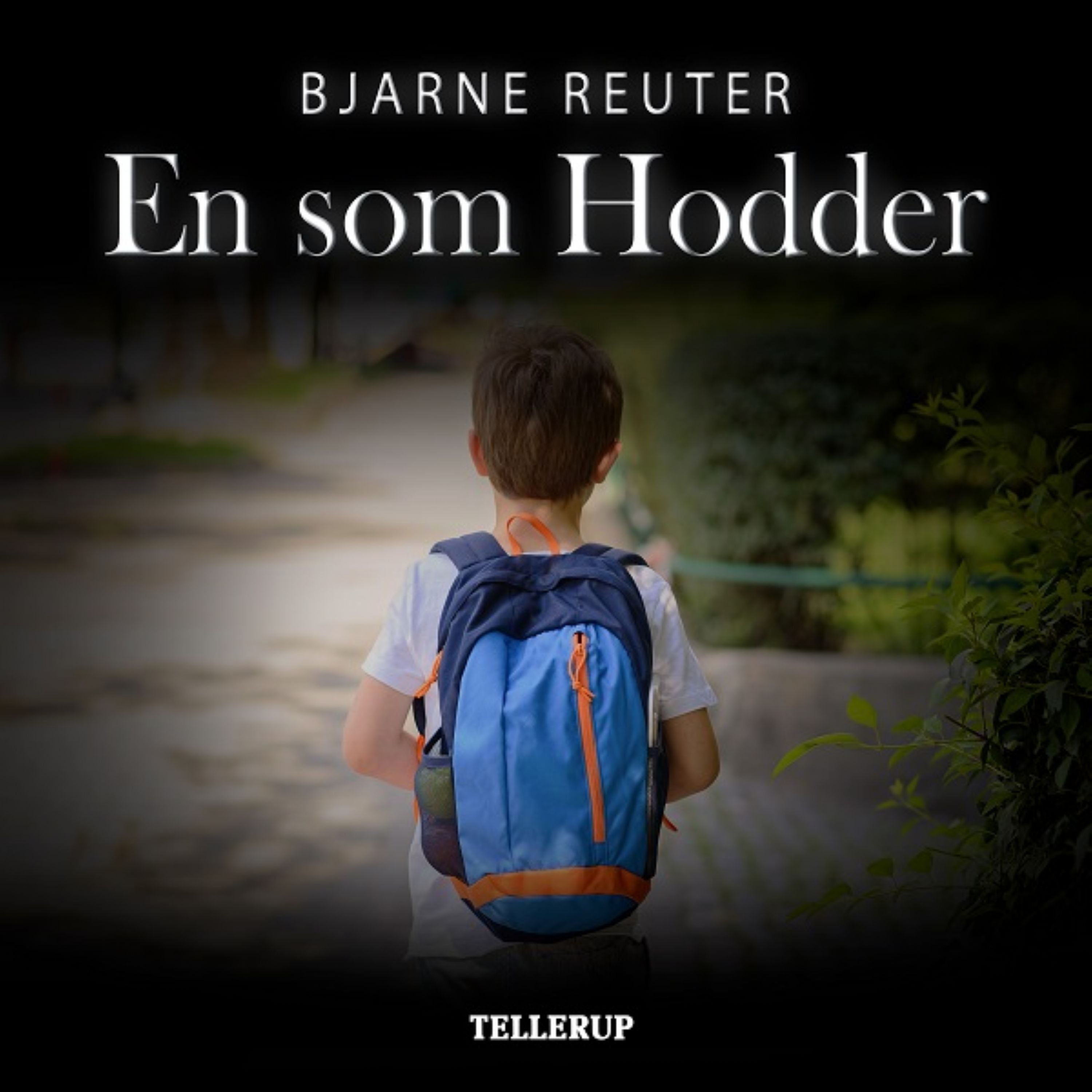 Forside billede